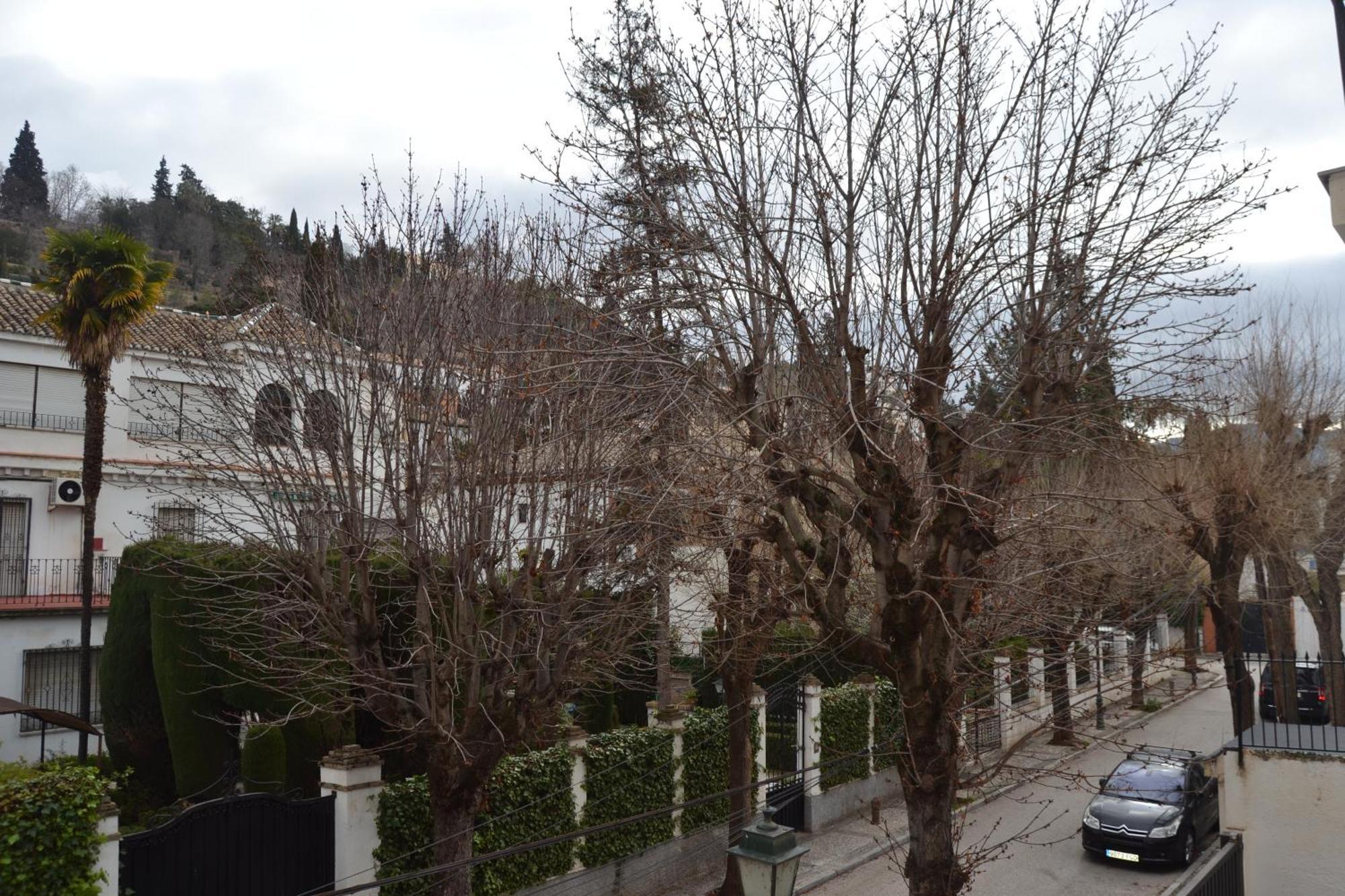 Apartmán Carmen Del Cadi Granada Exteriér fotografie