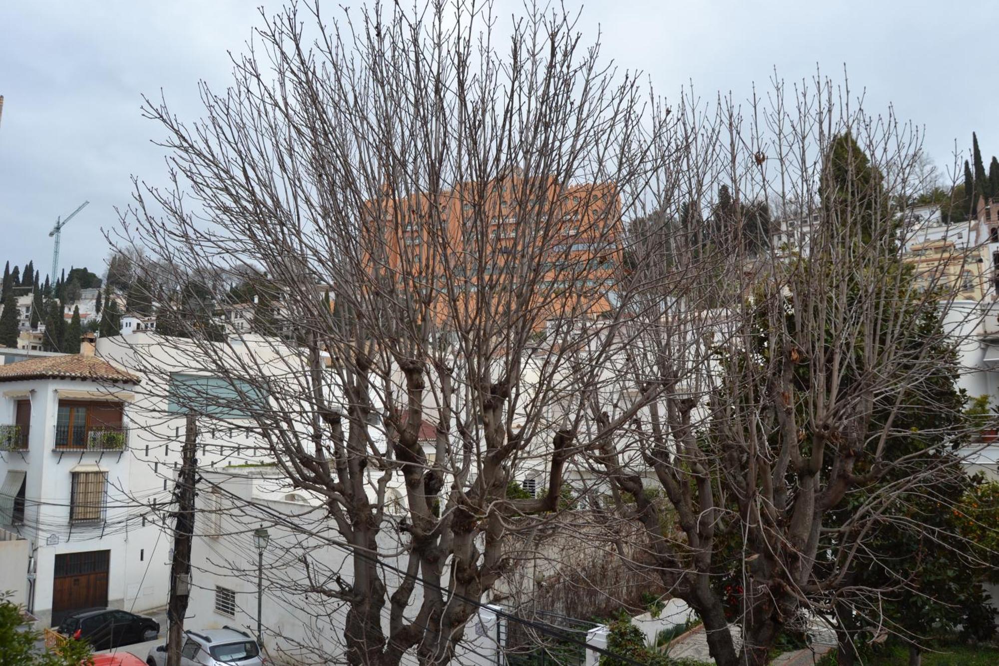 Apartmán Carmen Del Cadi Granada Exteriér fotografie